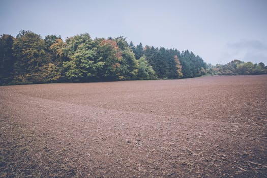 Free stock photo of agriculture, calm, clouds